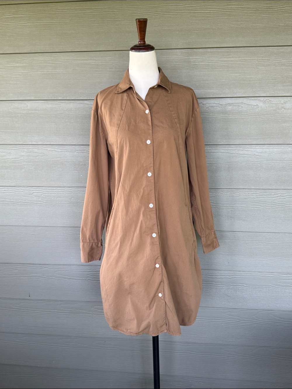 Everlane Button-Front Shirt Dress